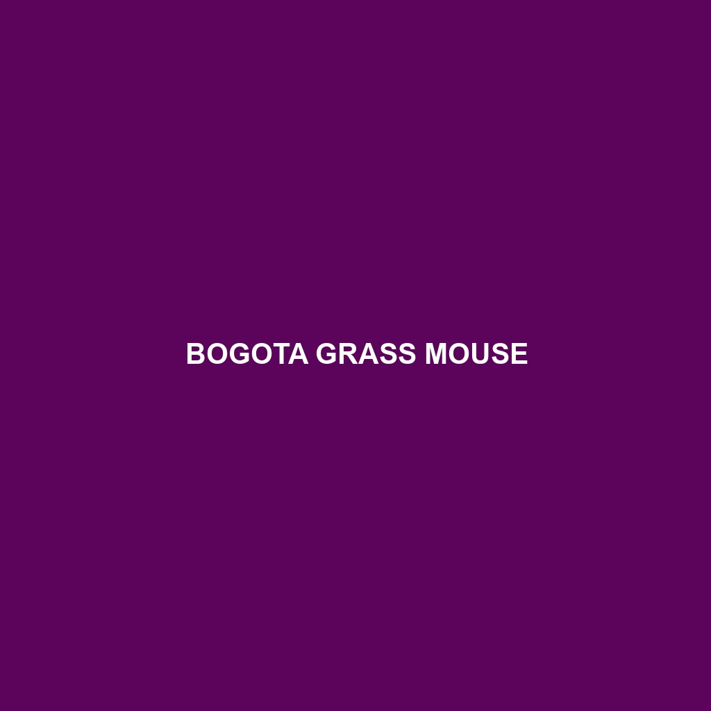 Bogota Grass Mouse