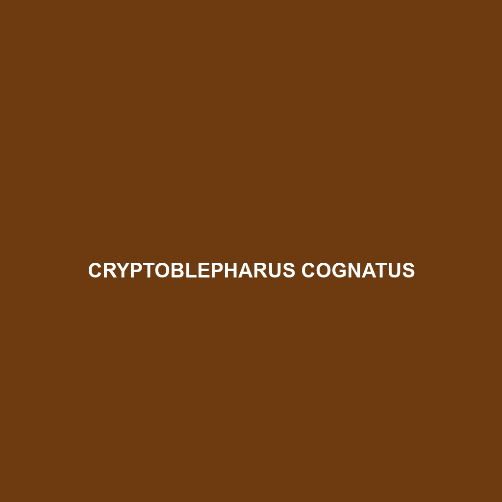 Cryptoblepharus cognatus