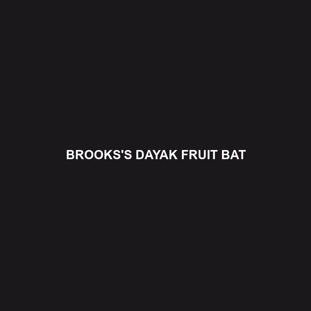 Brooks's Dayak Fruit Bat