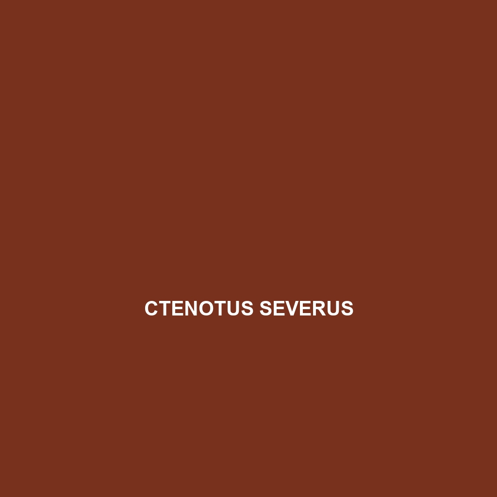 Ctenotus severus