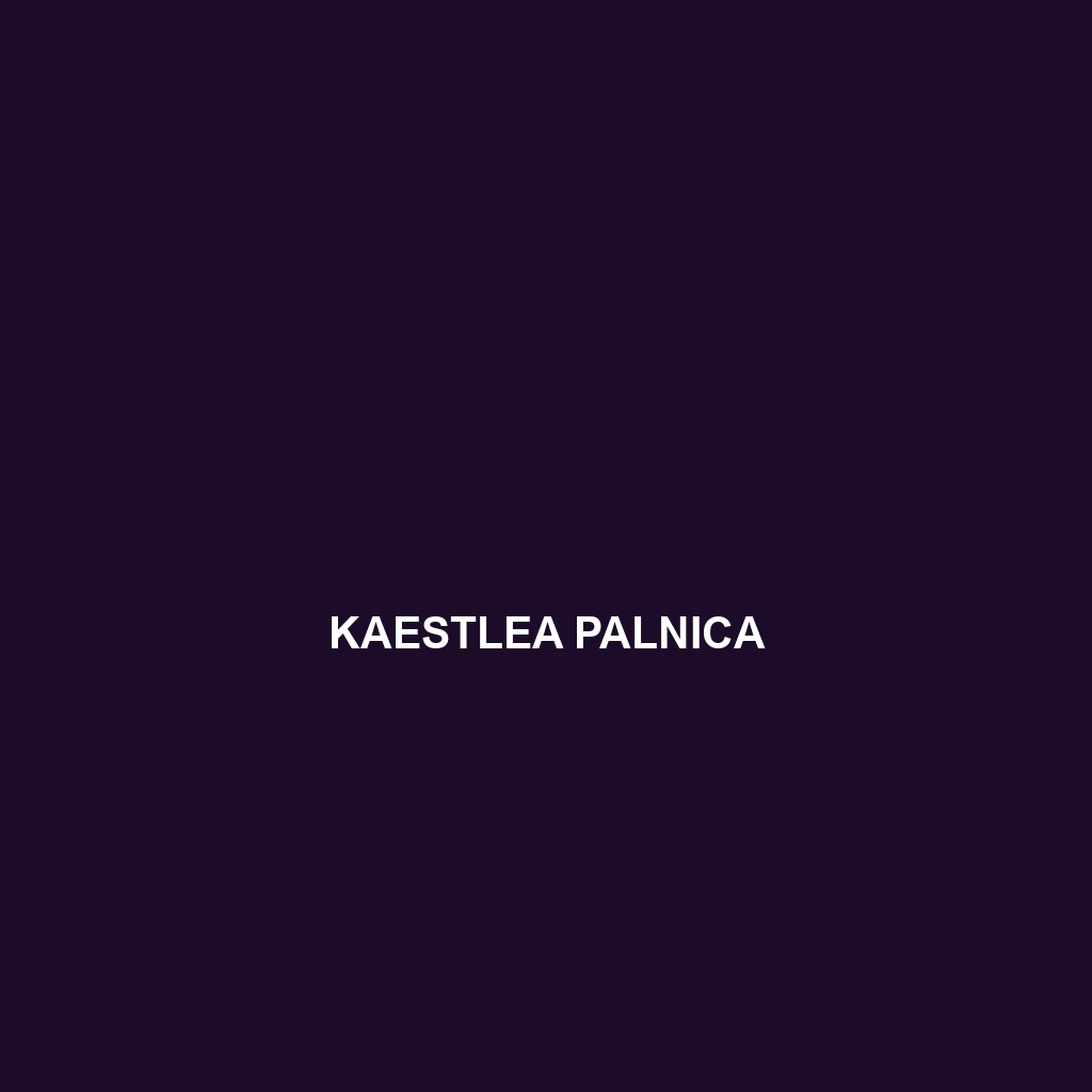 Kaestlea palnica