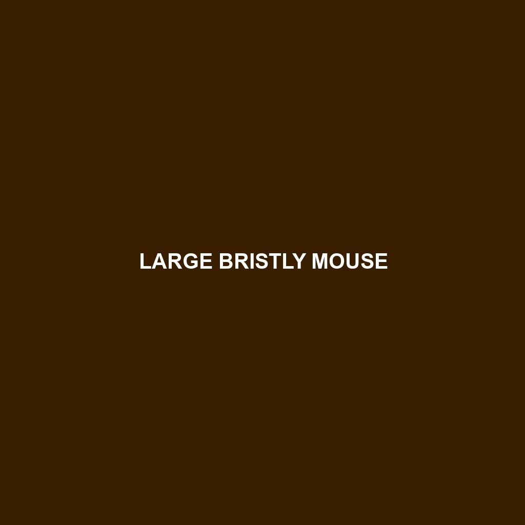 Large Bristly Mouse