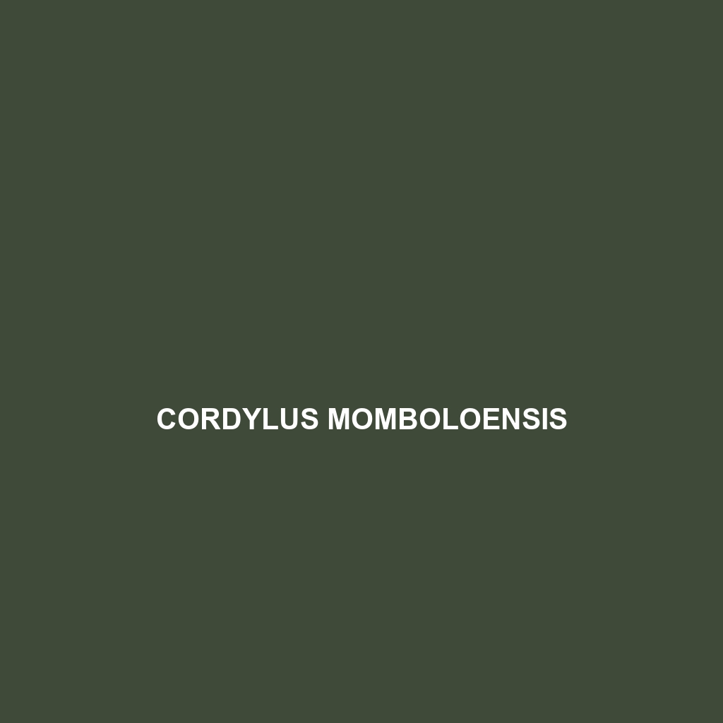 Cordylus momboloensis