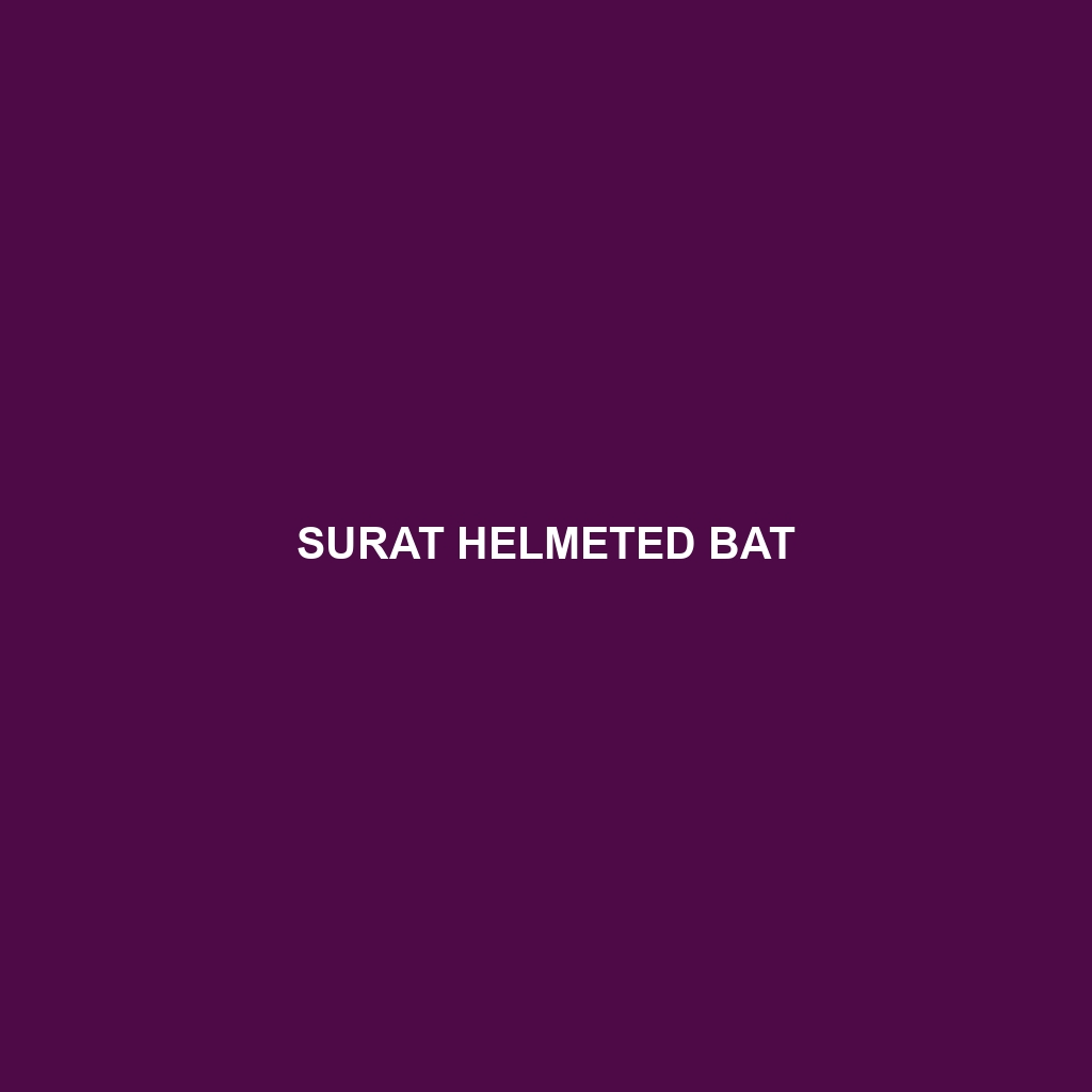 Surat Helmeted Bat