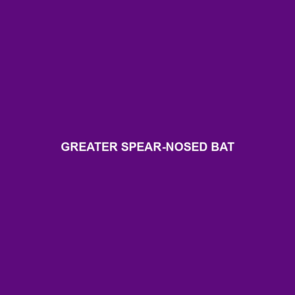 Greater Spear-nosed Bat