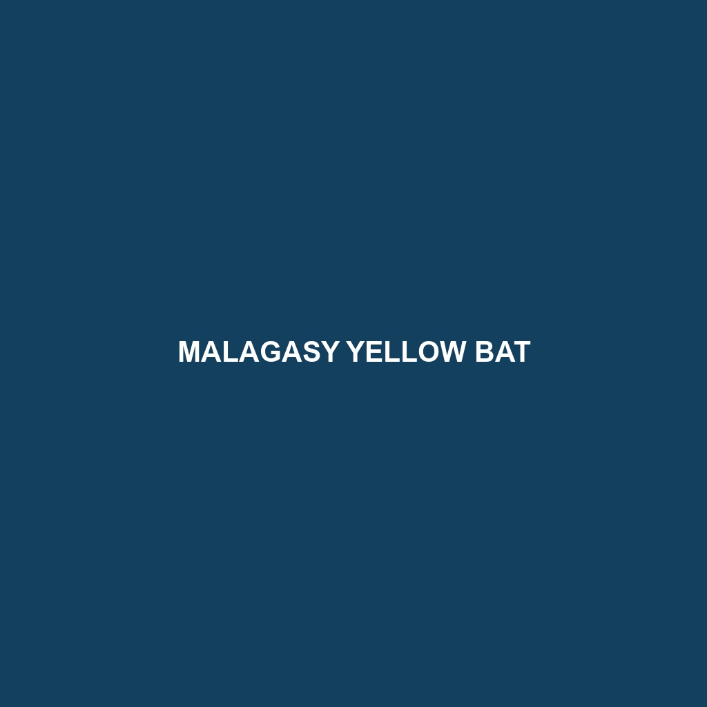 Malagasy Yellow Bat