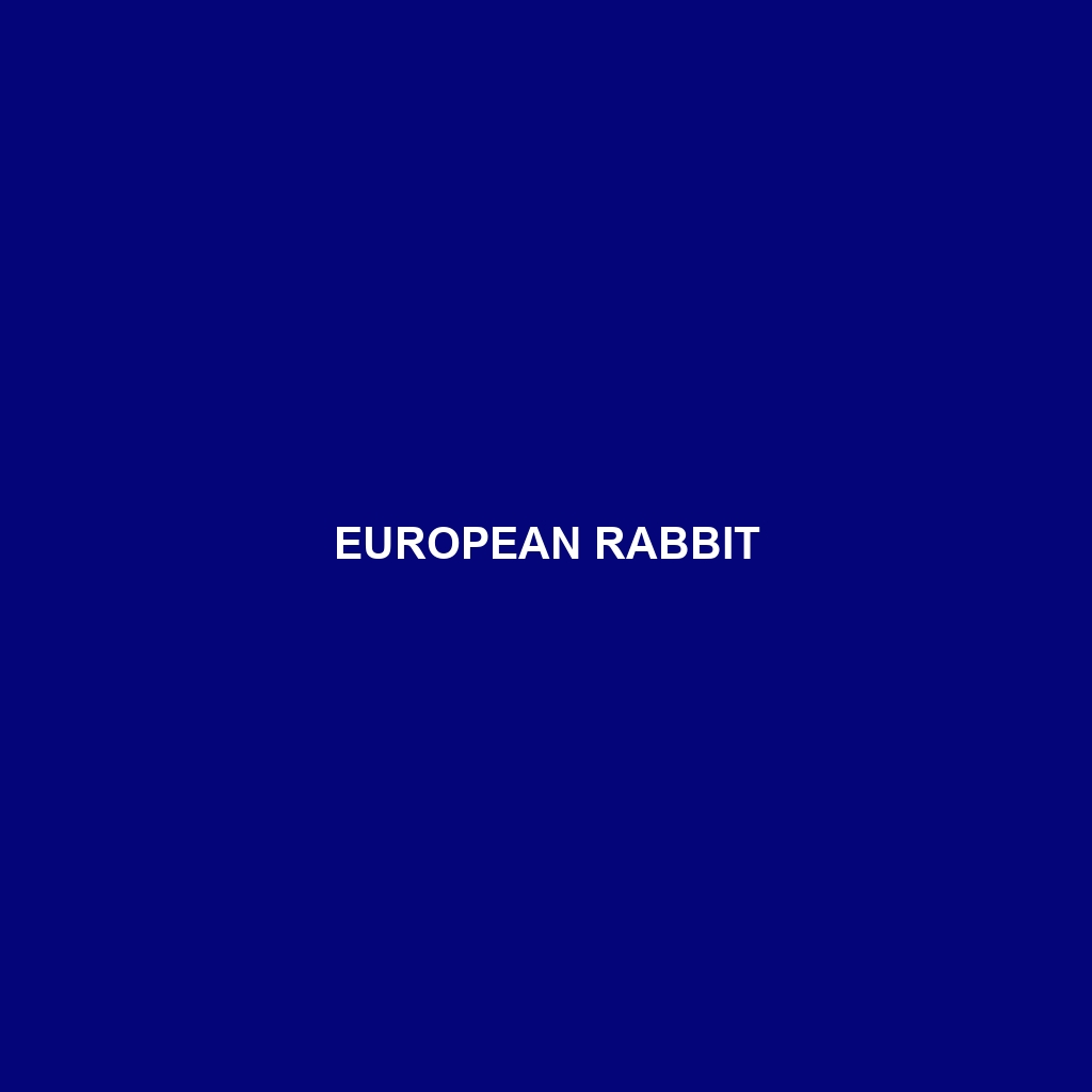 European Rabbit