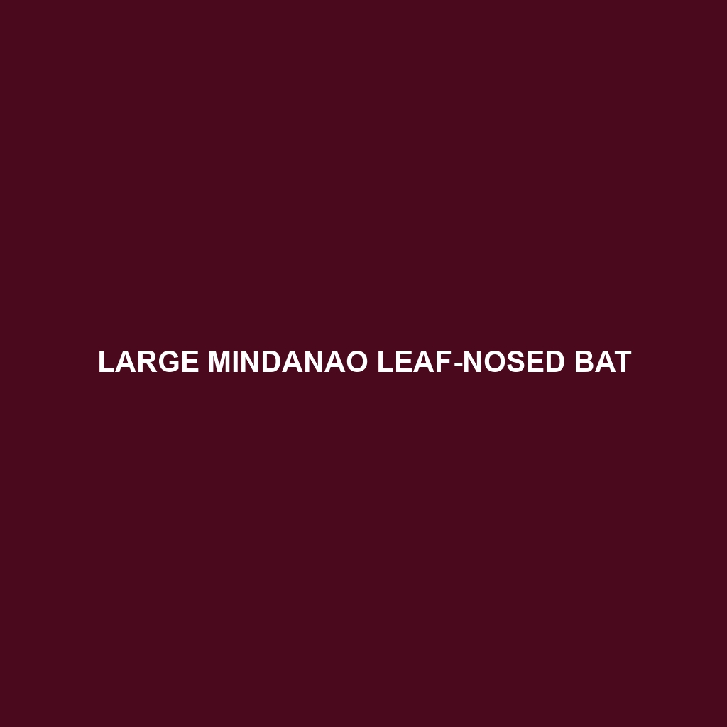 Large Mindanao Leaf-nosed Bat