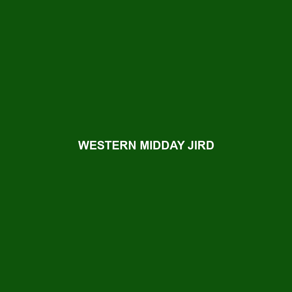 Western Midday Jird