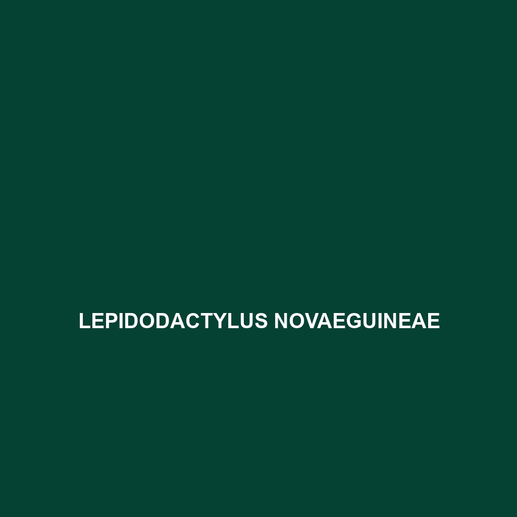 Lepidodactylus novaeguineae