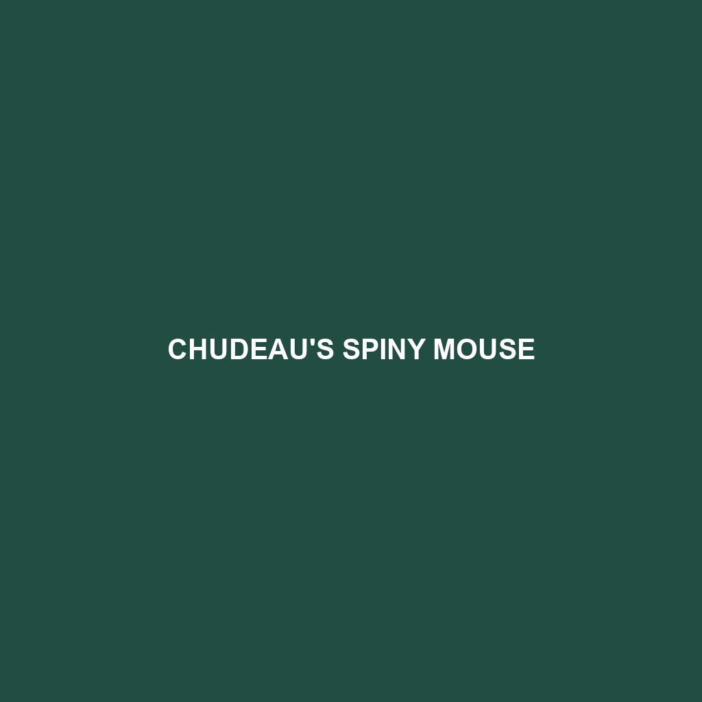 Chudeau's Spiny Mouse