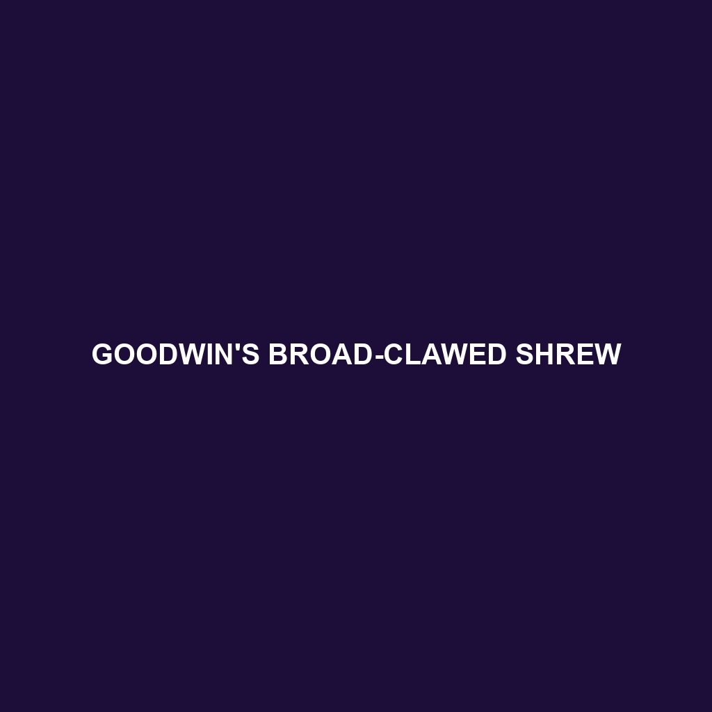 Goodwin's Broad-clawed Shrew