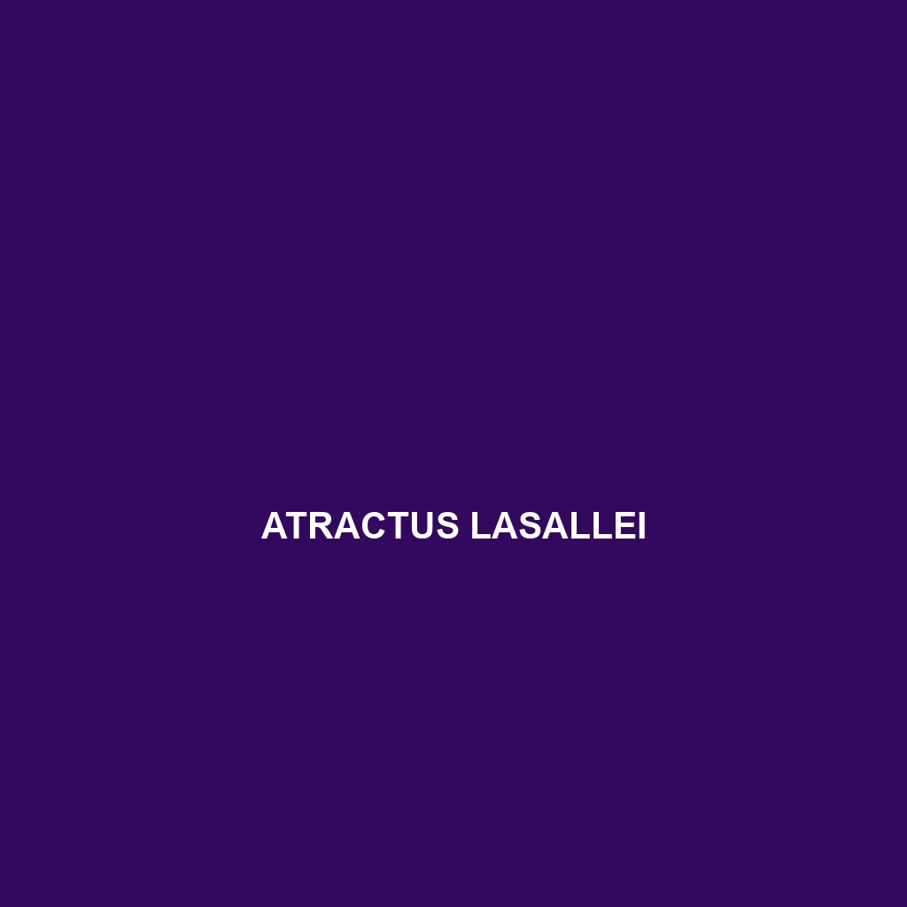 Atractus lasallei