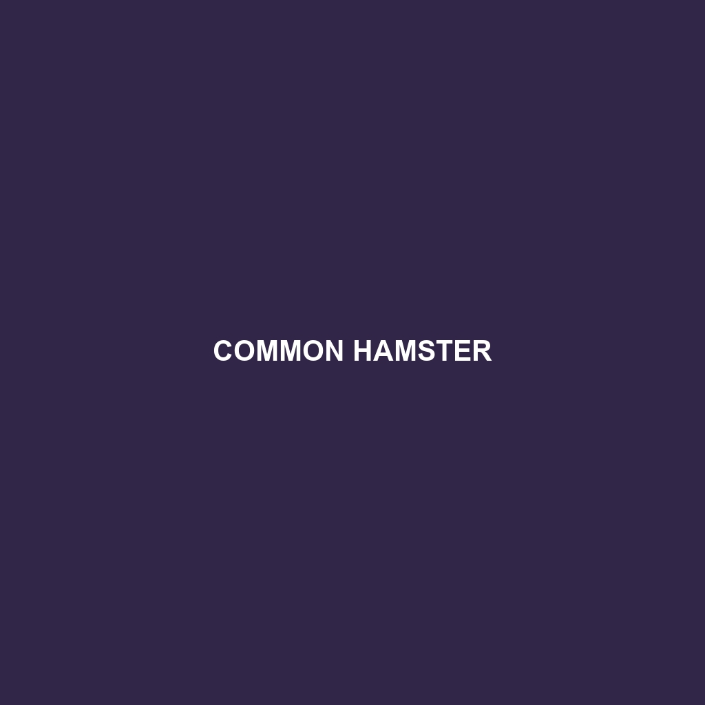 Common Hamster