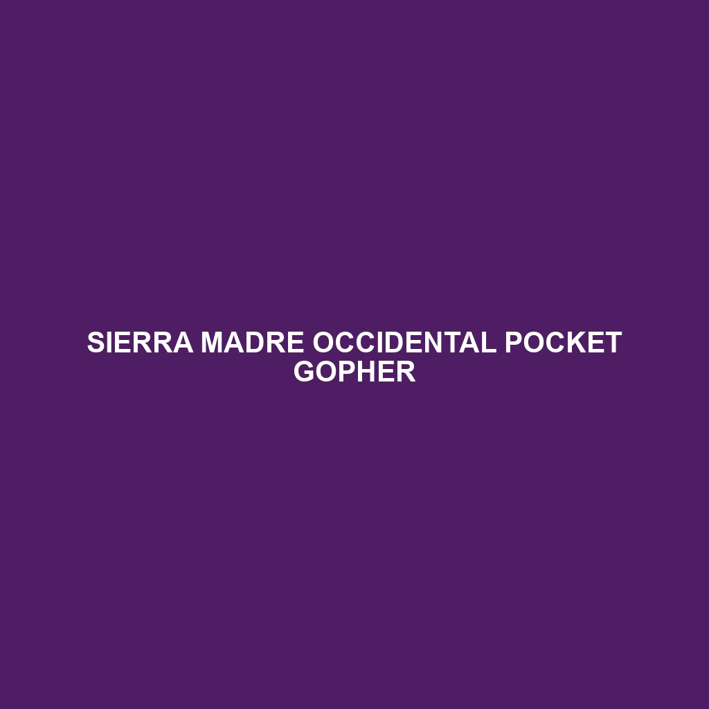 Sierra Madre Occidental Pocket Gopher