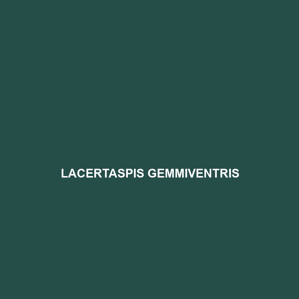 Lacertaspis gemmiventris