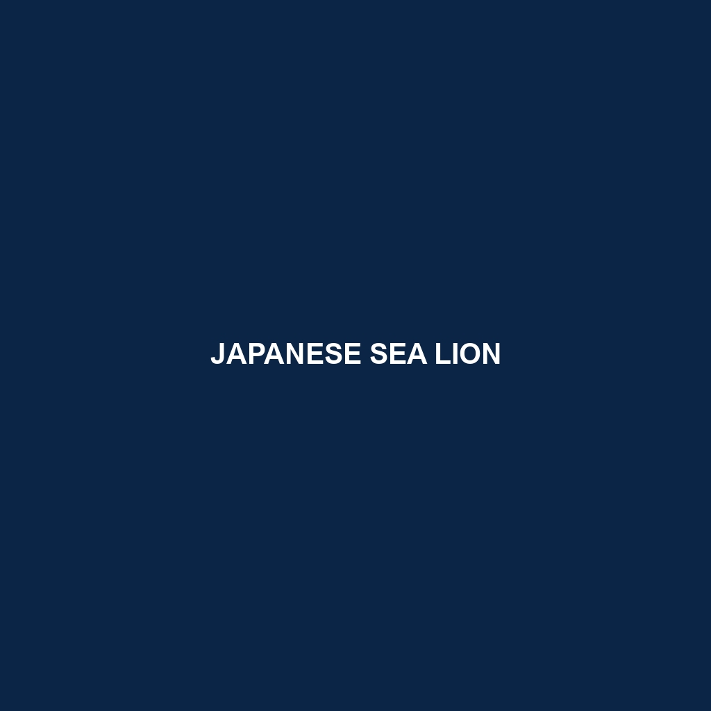 Japanese Sea Lion