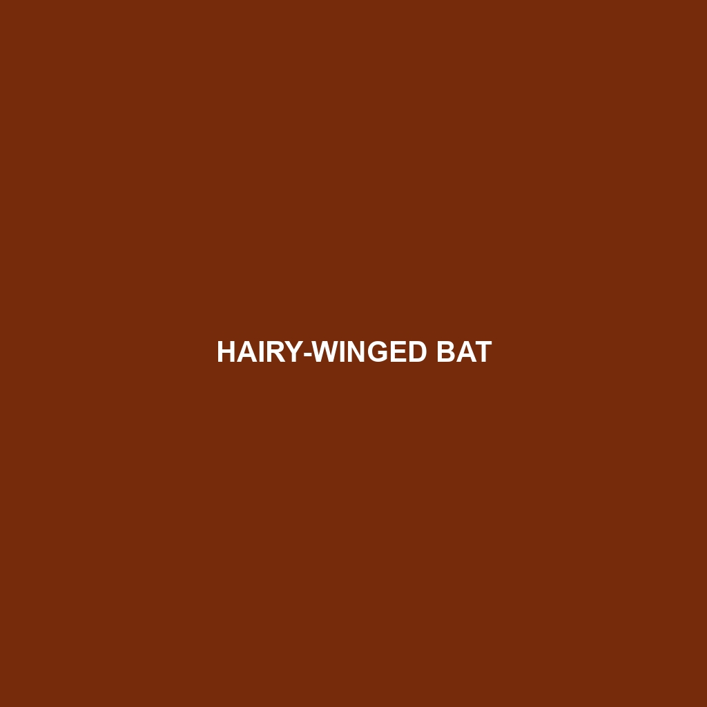 Hairy-winged Bat