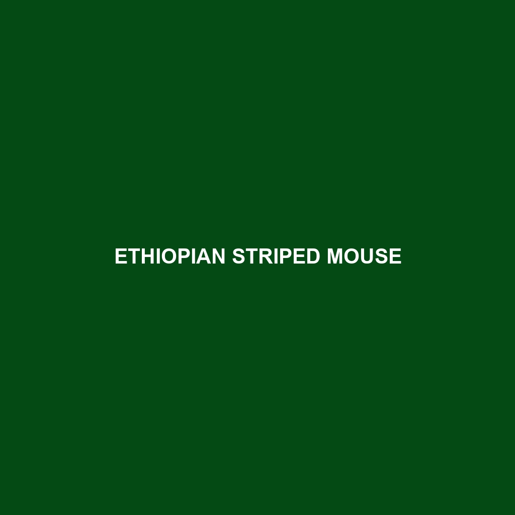 Ethiopian Striped Mouse