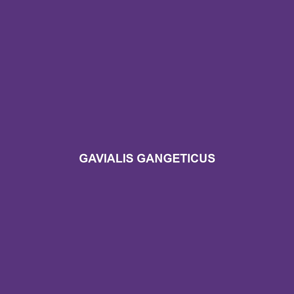 Gavialis gangeticus