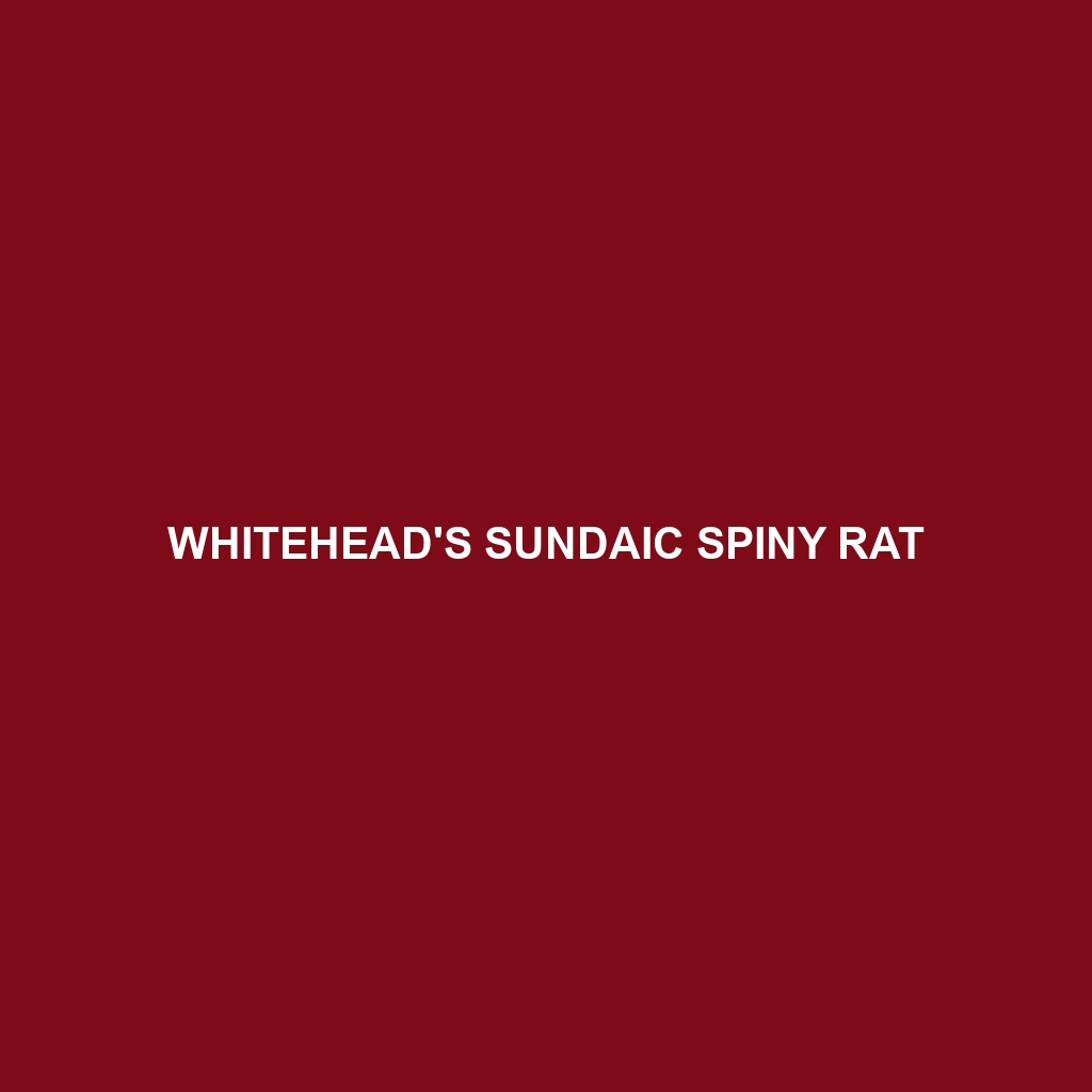 Whitehead's Sundaic Spiny Rat