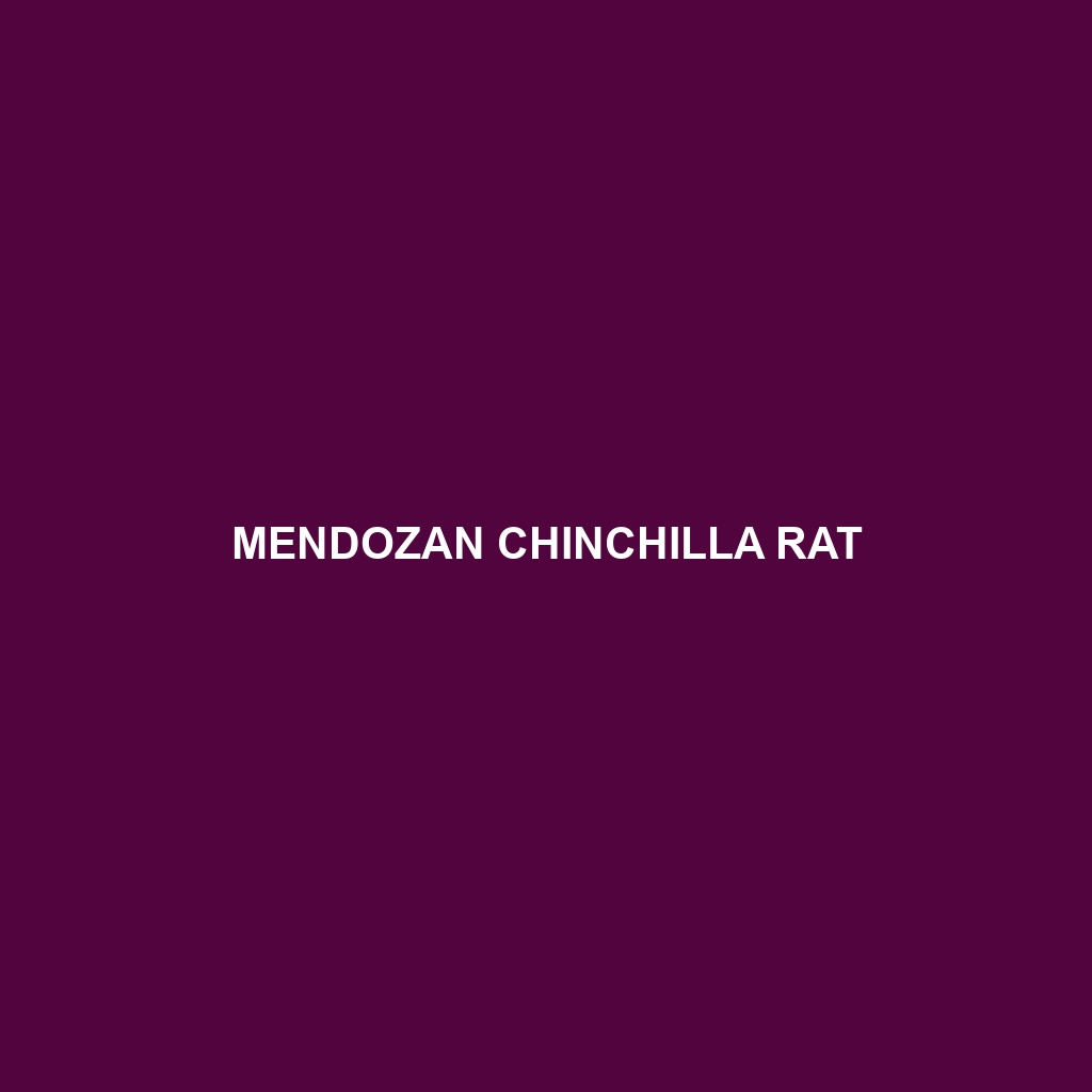 Mendozan Chinchilla Rat