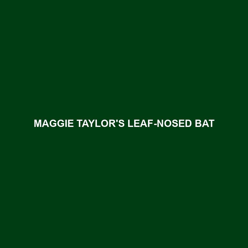 Aellen's Leaf-nosed Bat