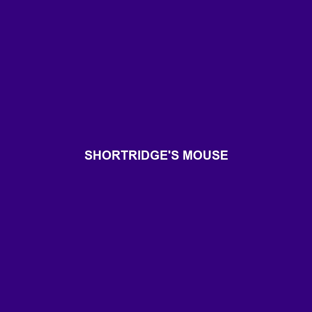 Shortridge's Mouse