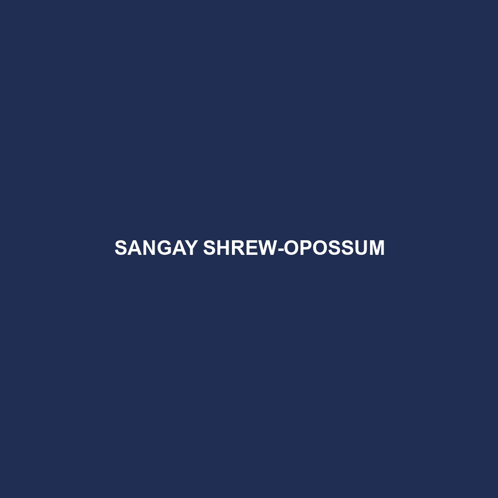 Sangay Shrew-opossum