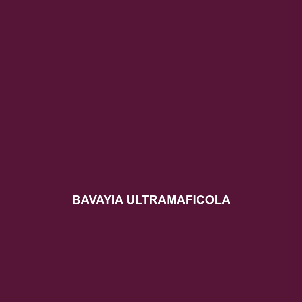 Bavayia ultramaficola