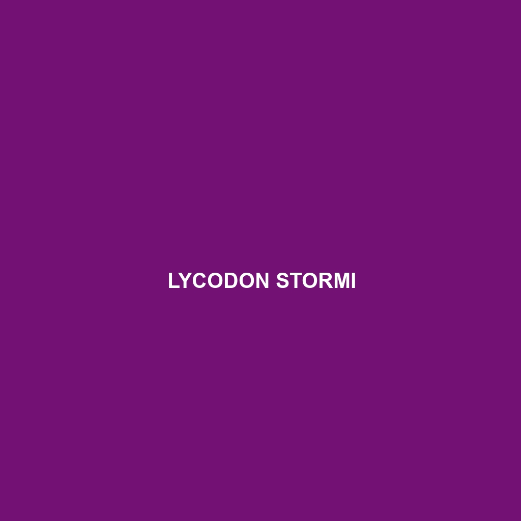 Lycodon stormi