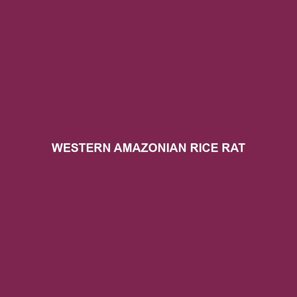 Western Amazonian Rice Rat