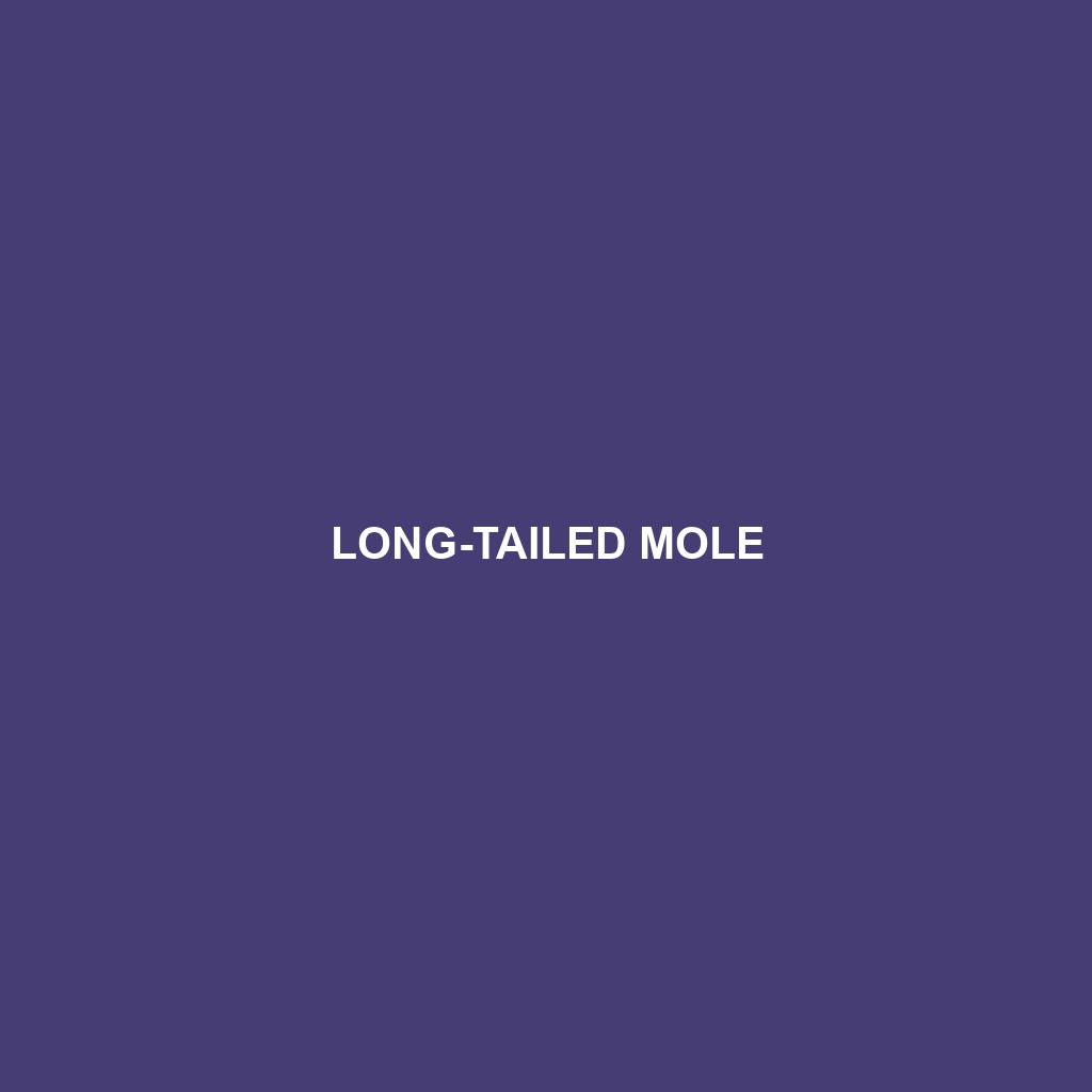 Long-tailed Mole