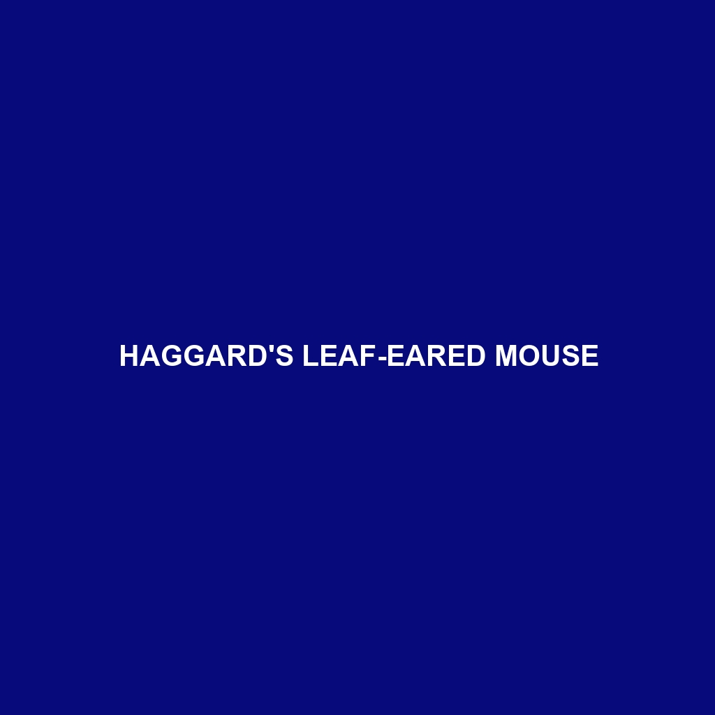 Haggard's Leaf-eared Mouse