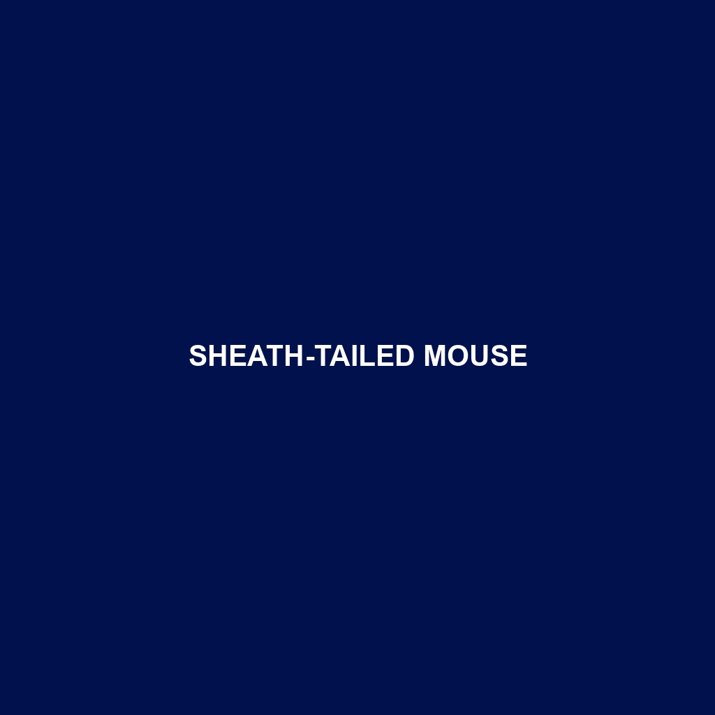 Sheath-tailed Mouse