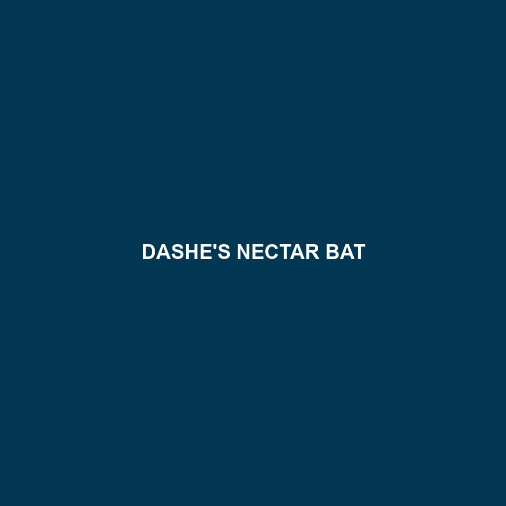 Dashe's Nectar Bat