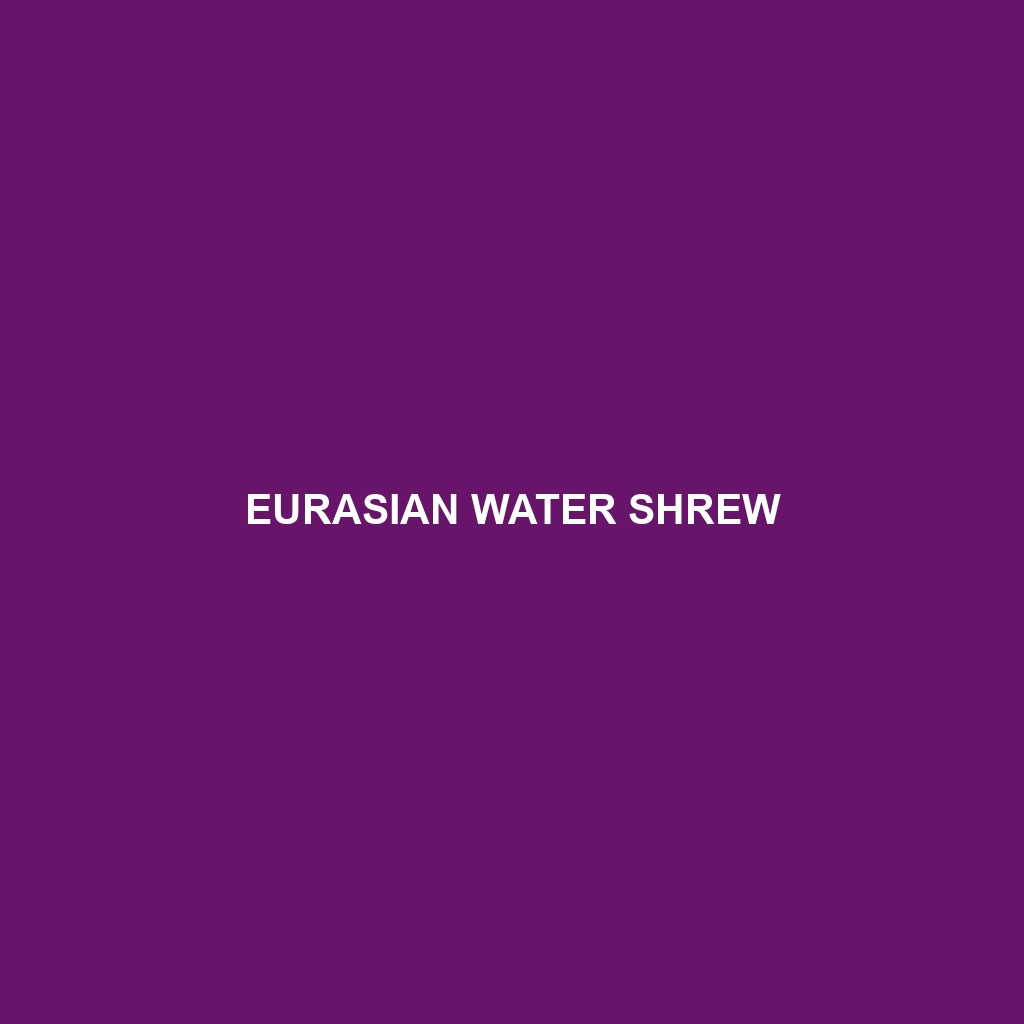 Eurasian Water Shrew