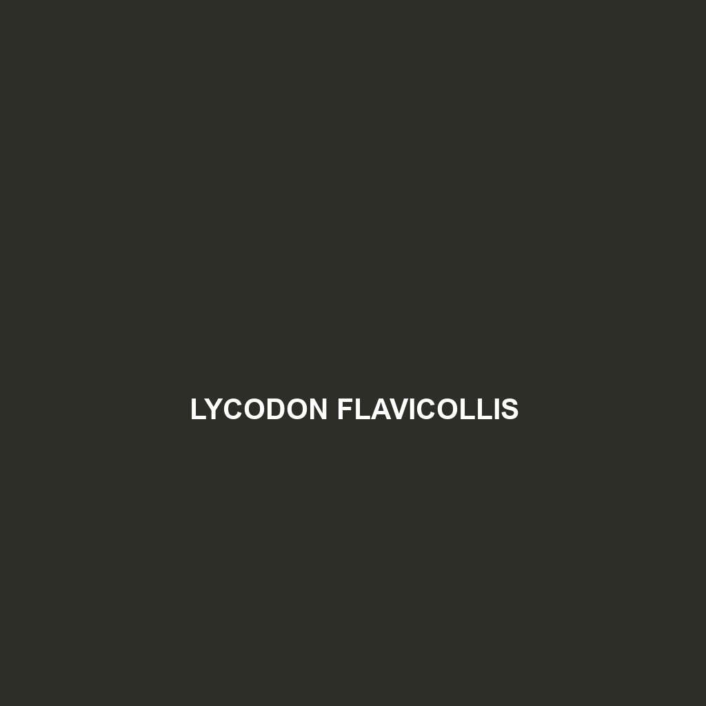 Lycodon flavicollis