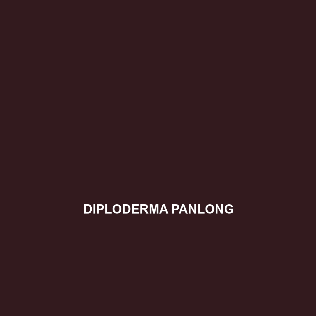 Diploderma panlong