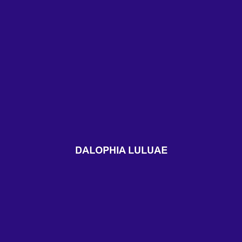 Dalophia luluae