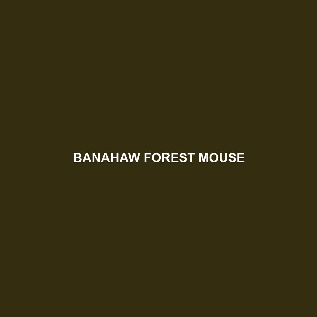 Banahaw Forest Mouse