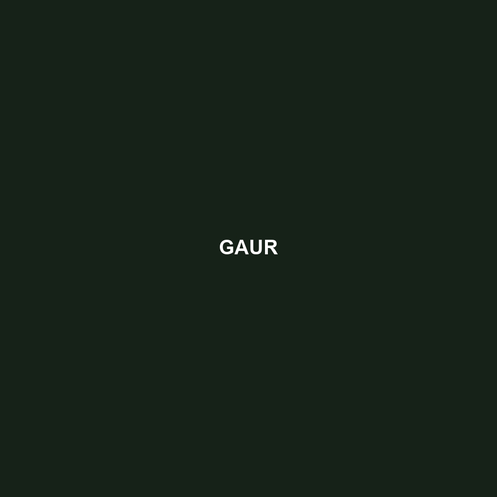 Gaur