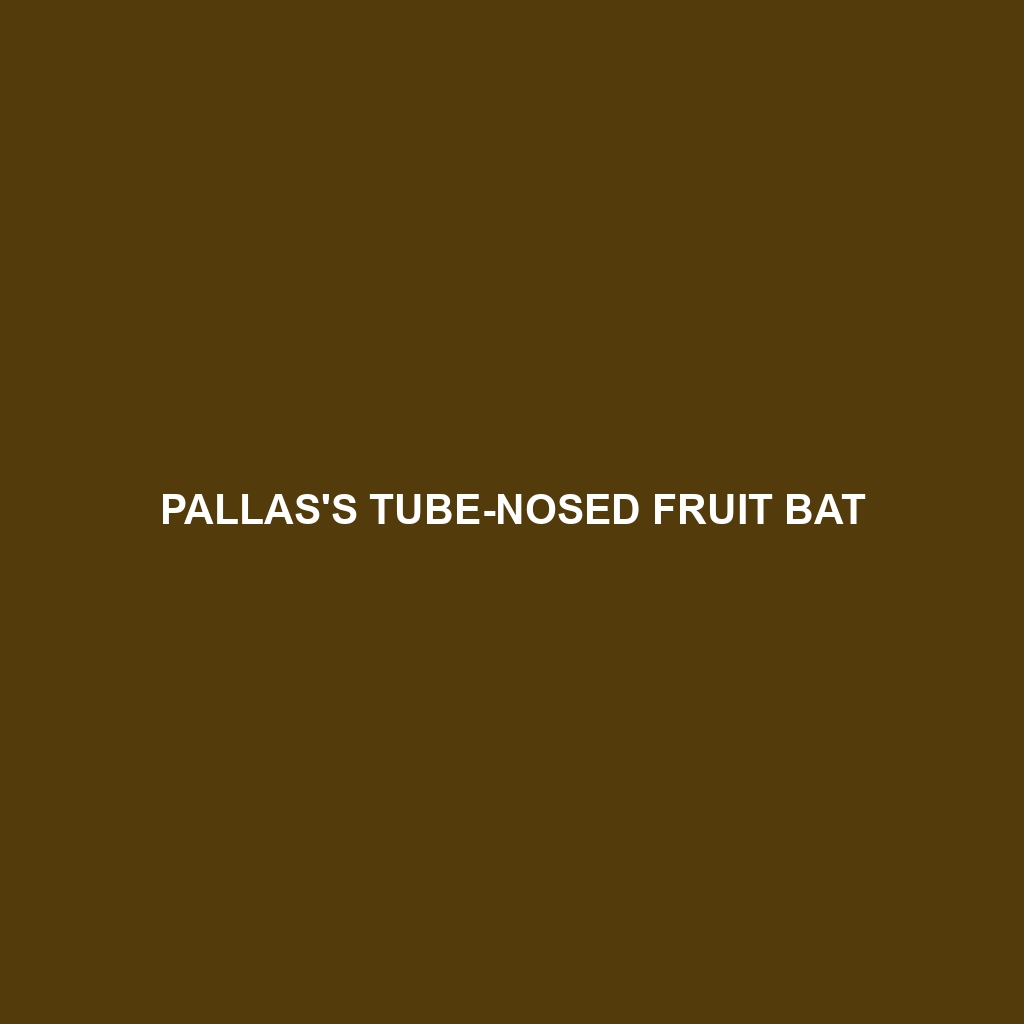 Pallas's Tube-nosed Fruit Bat