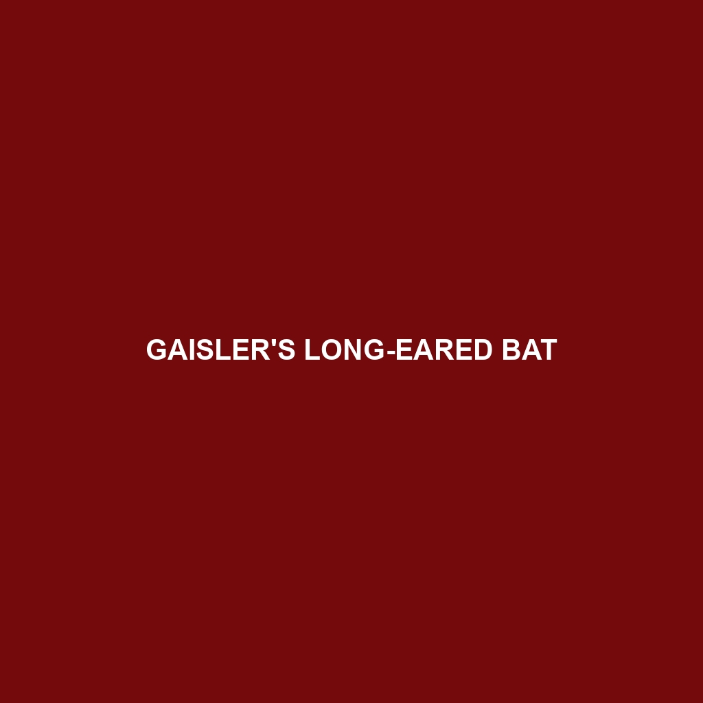 Gaisler's Long-eared Bat