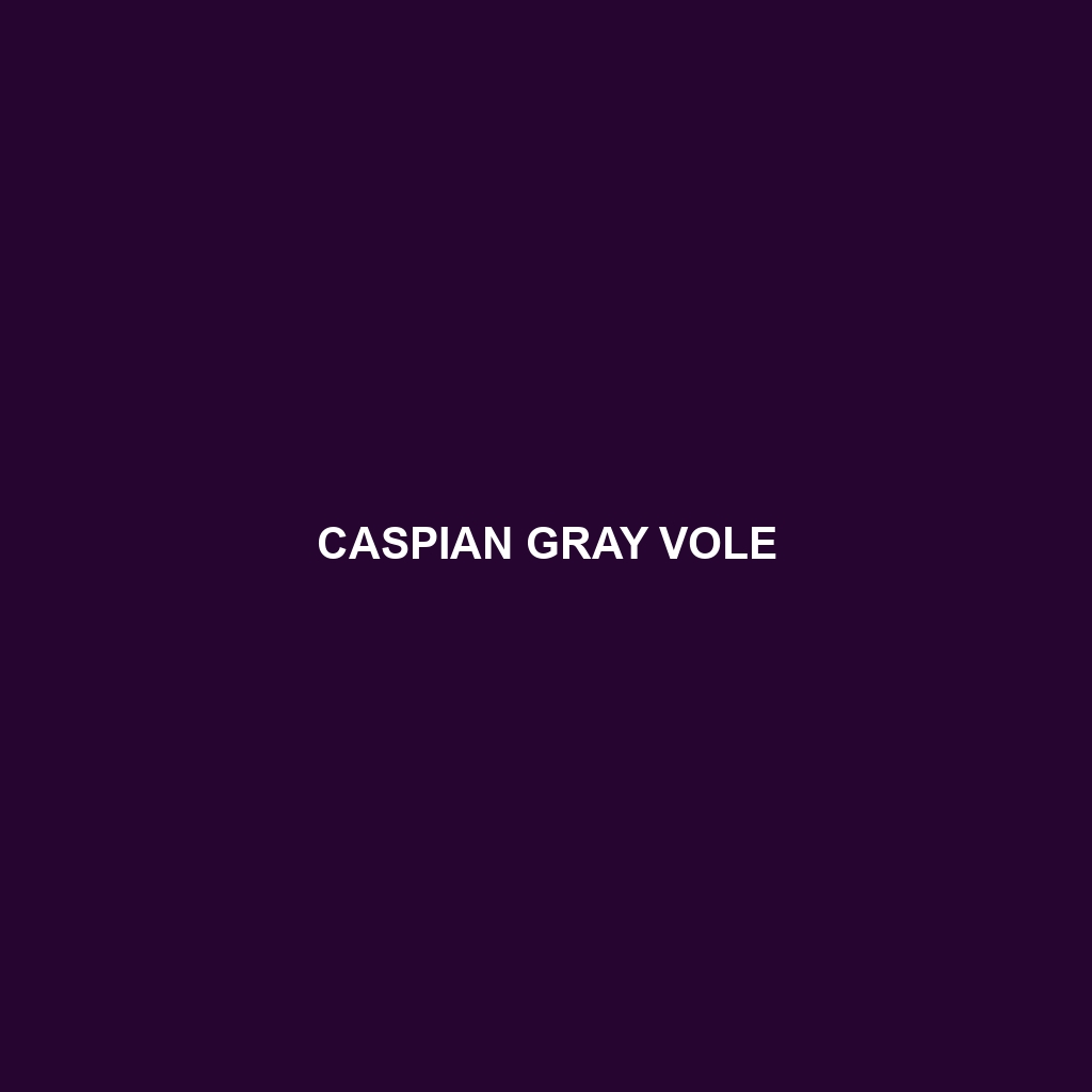 Caspian Gray Vole