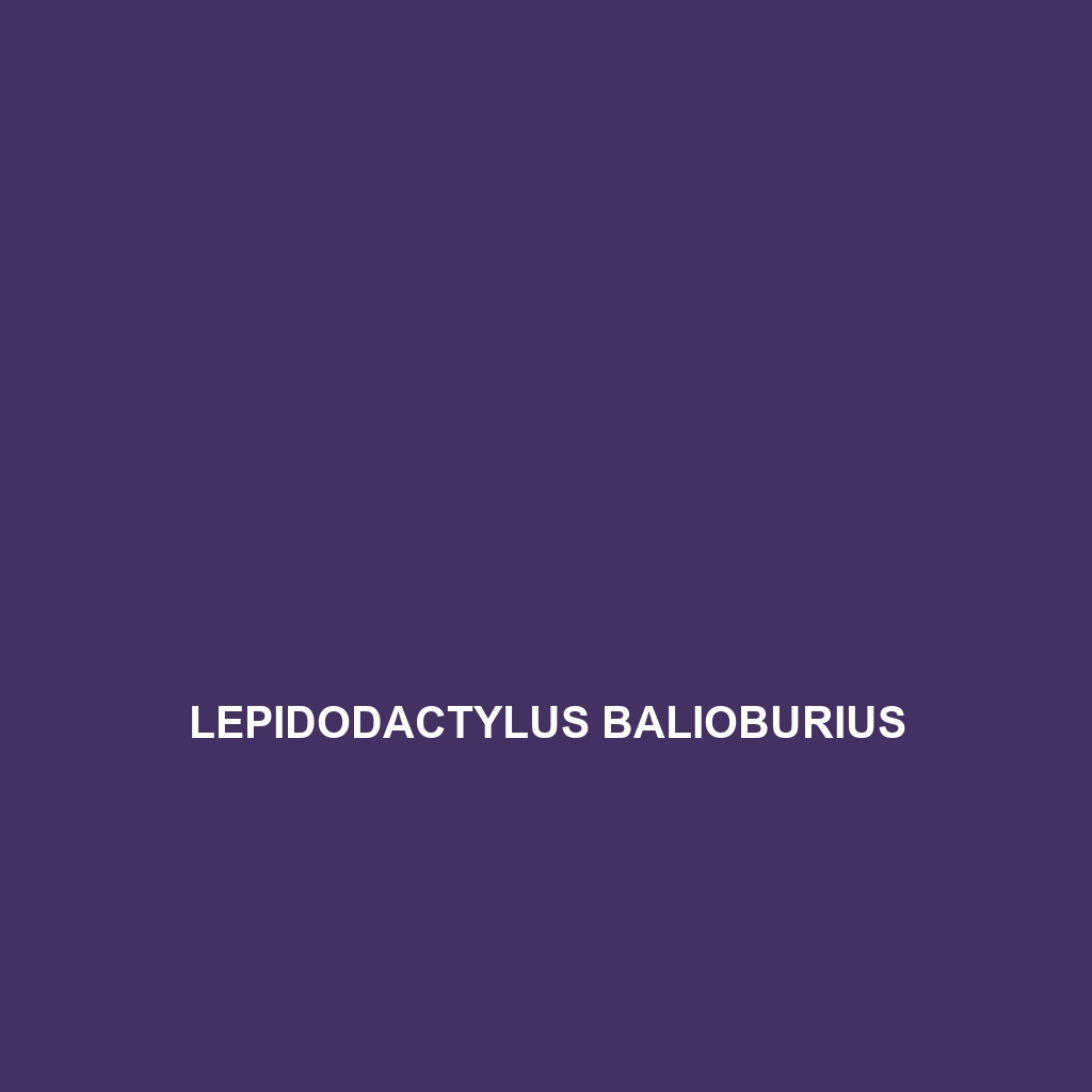 Lepidodactylus balioburius