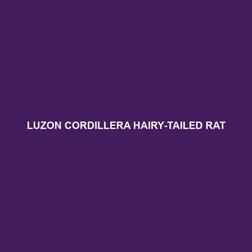 Luzon Cordillera Hairy-tailed Rat