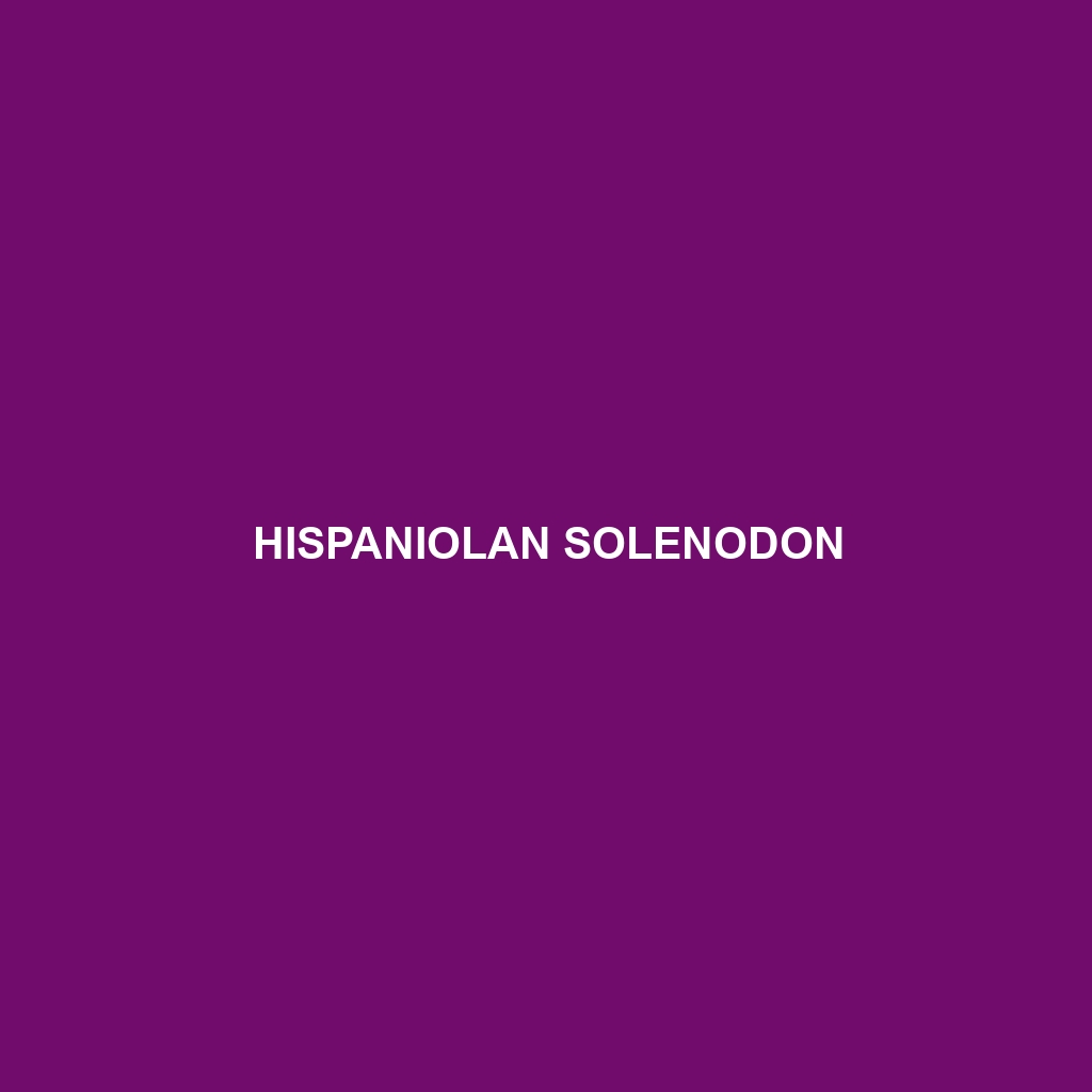 Hispaniolan Solenodon