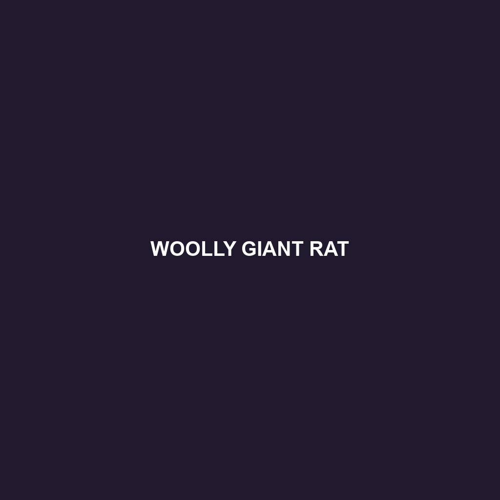 Woolly Giant Rat