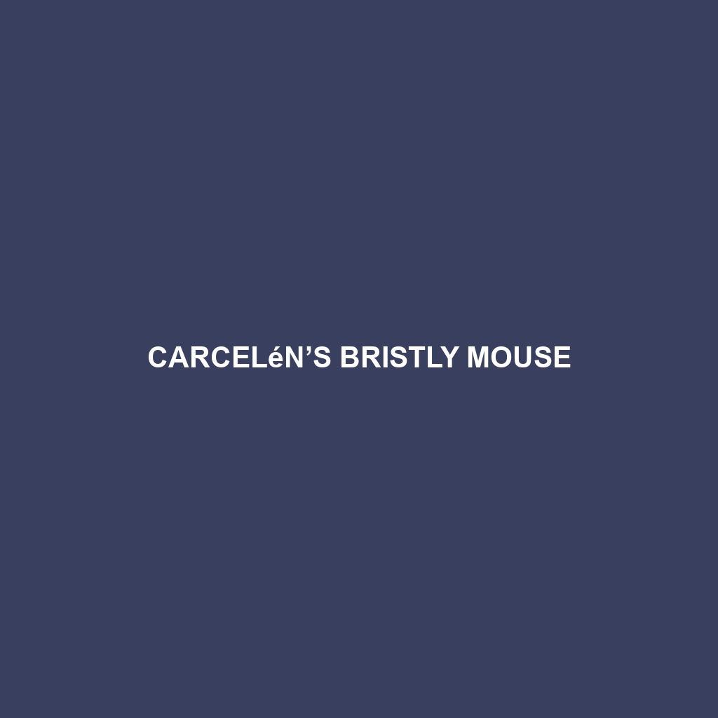 Carcelén’s Bristly Mouse